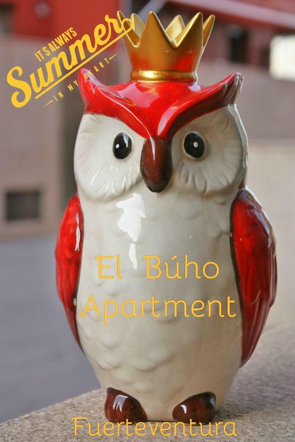 El Buho Apartment Wi-Fi Puerto del Rosario  Exterior photo